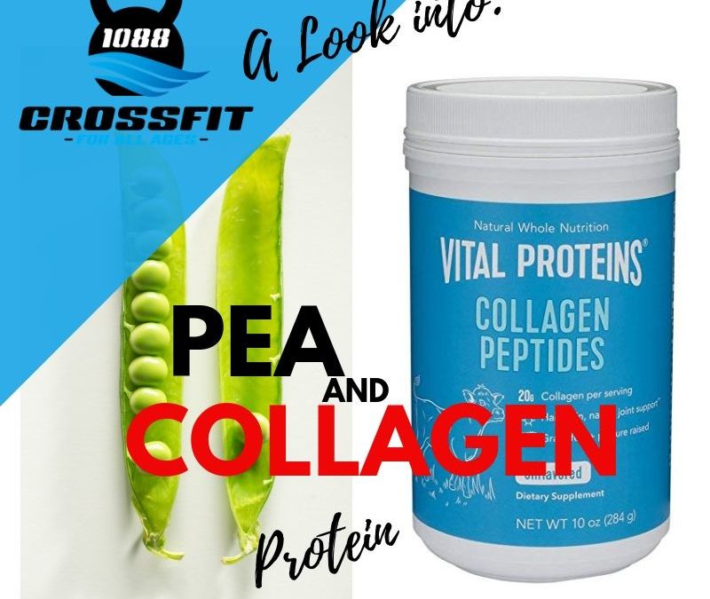 Two Up and Coming Proteins- Pea and Collagen Protein