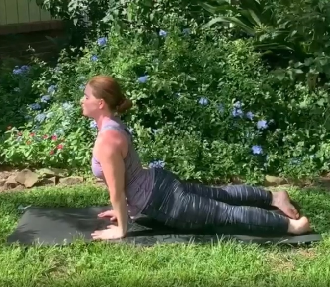 Yoga- Vinyasa Flow